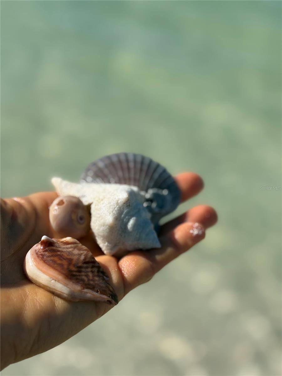 880 MANDALAY AVE #S214, CLEARWATER BEACH, FL, 33767