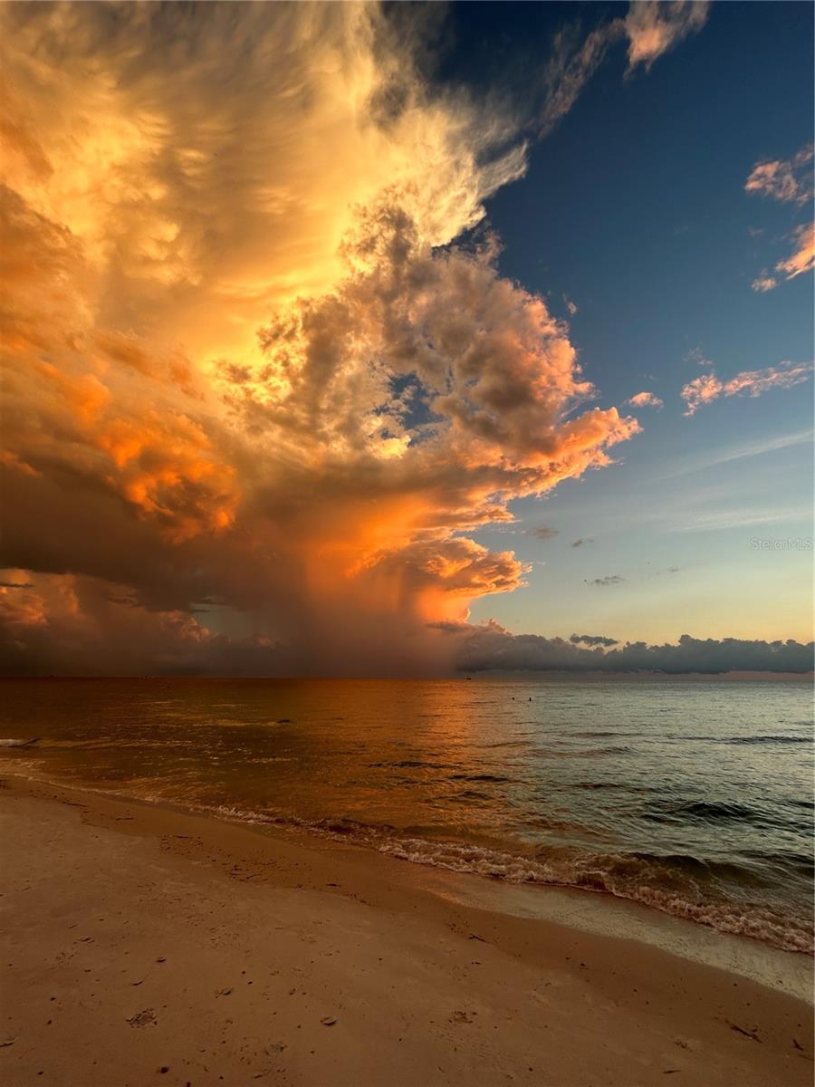 880 MANDALAY AVE #S214, CLEARWATER BEACH, FL, 33767