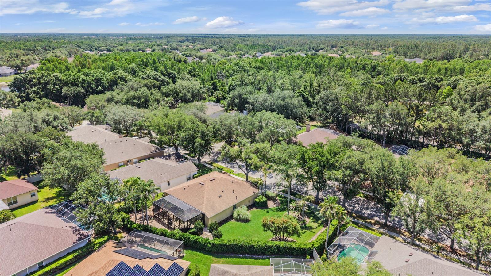 9459 HUNTERS POND DR, TAMPA, FL, 33647