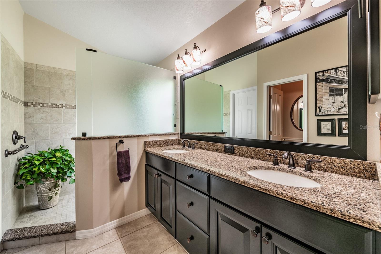 9459 HUNTERS POND DR, TAMPA, FL, 33647