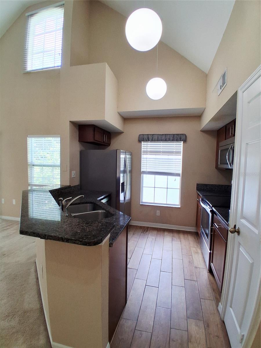 9020 LAKE CHASE ISLAND WAY #9020, TAMPA, FL, 33626
