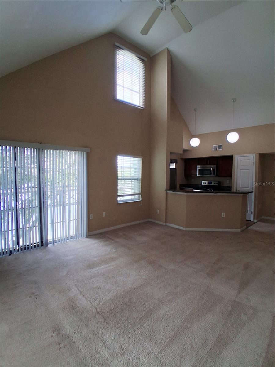 9020 LAKE CHASE ISLAND WAY #9020, TAMPA, FL, 33626
