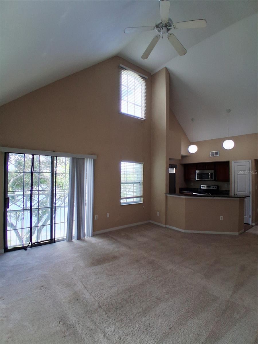 9020 LAKE CHASE ISLAND WAY #9020, TAMPA, FL, 33626