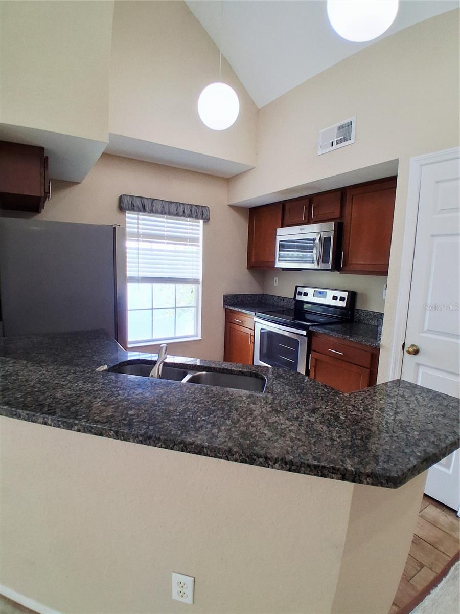 9020 LAKE CHASE ISLAND WAY #9020, TAMPA, FL, 33626