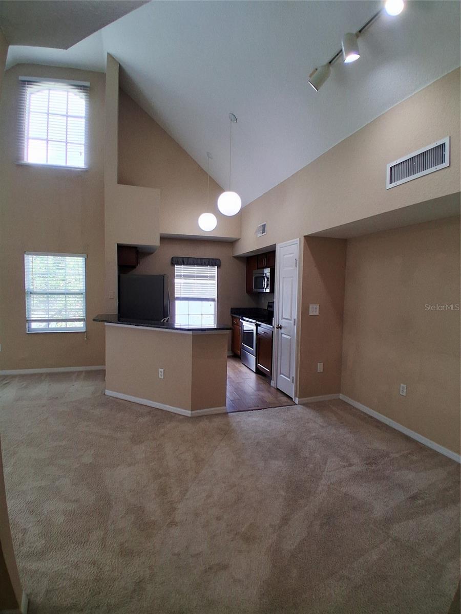 9020 LAKE CHASE ISLAND WAY #9020, TAMPA, FL, 33626