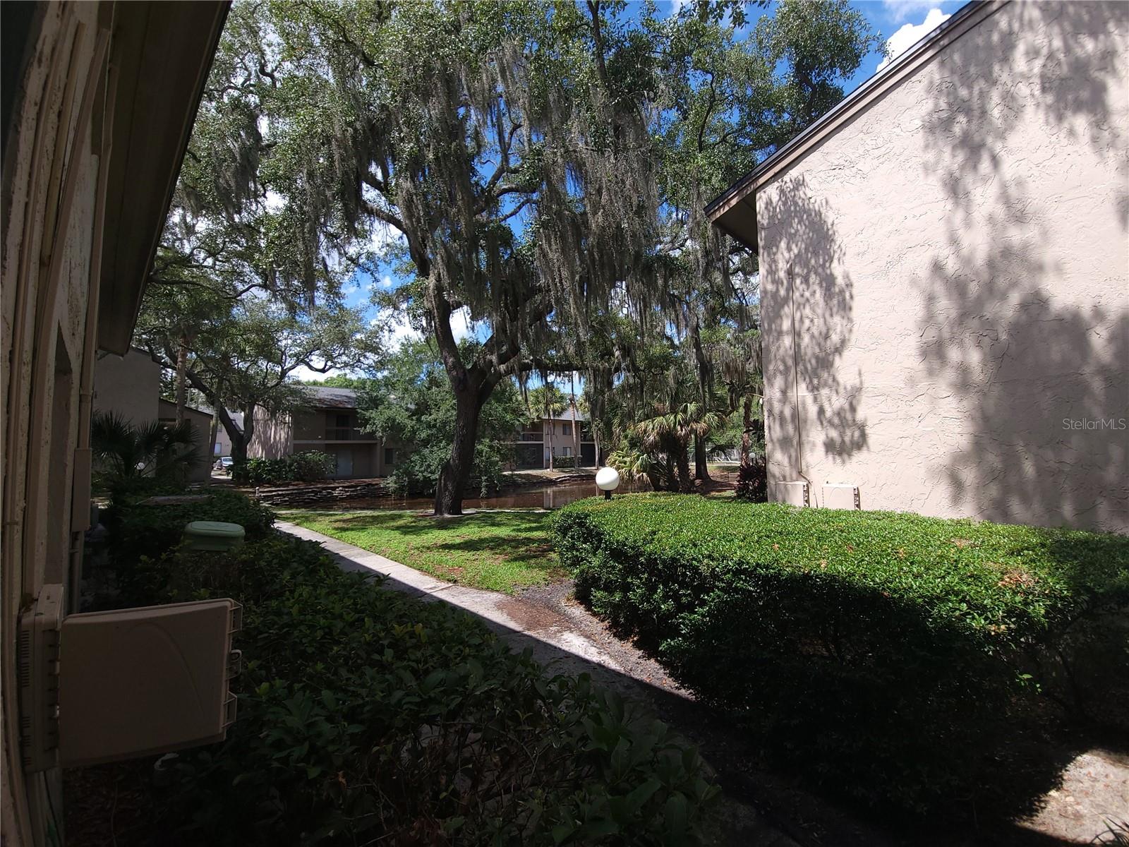 7606 ABBEY LN #208, TAMPA, FL, 33617
