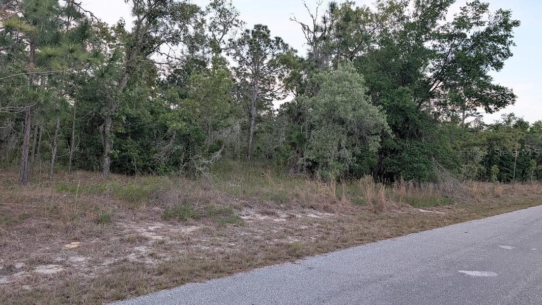 SW HALF MOON DR, DUNNELLON, FL, 34431