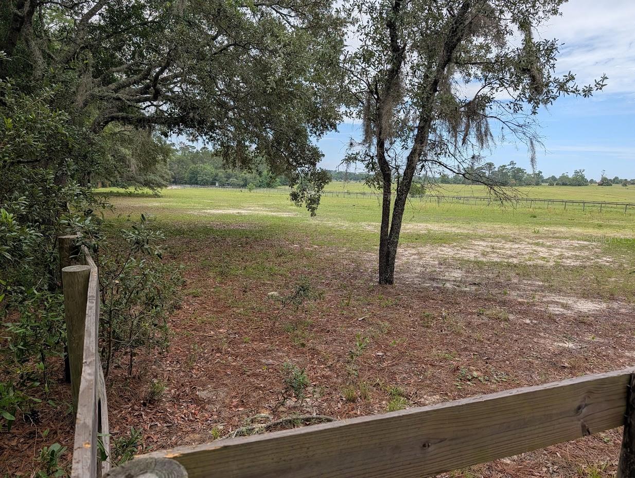 SW HALF MOON DR, DUNNELLON, FL, 34431