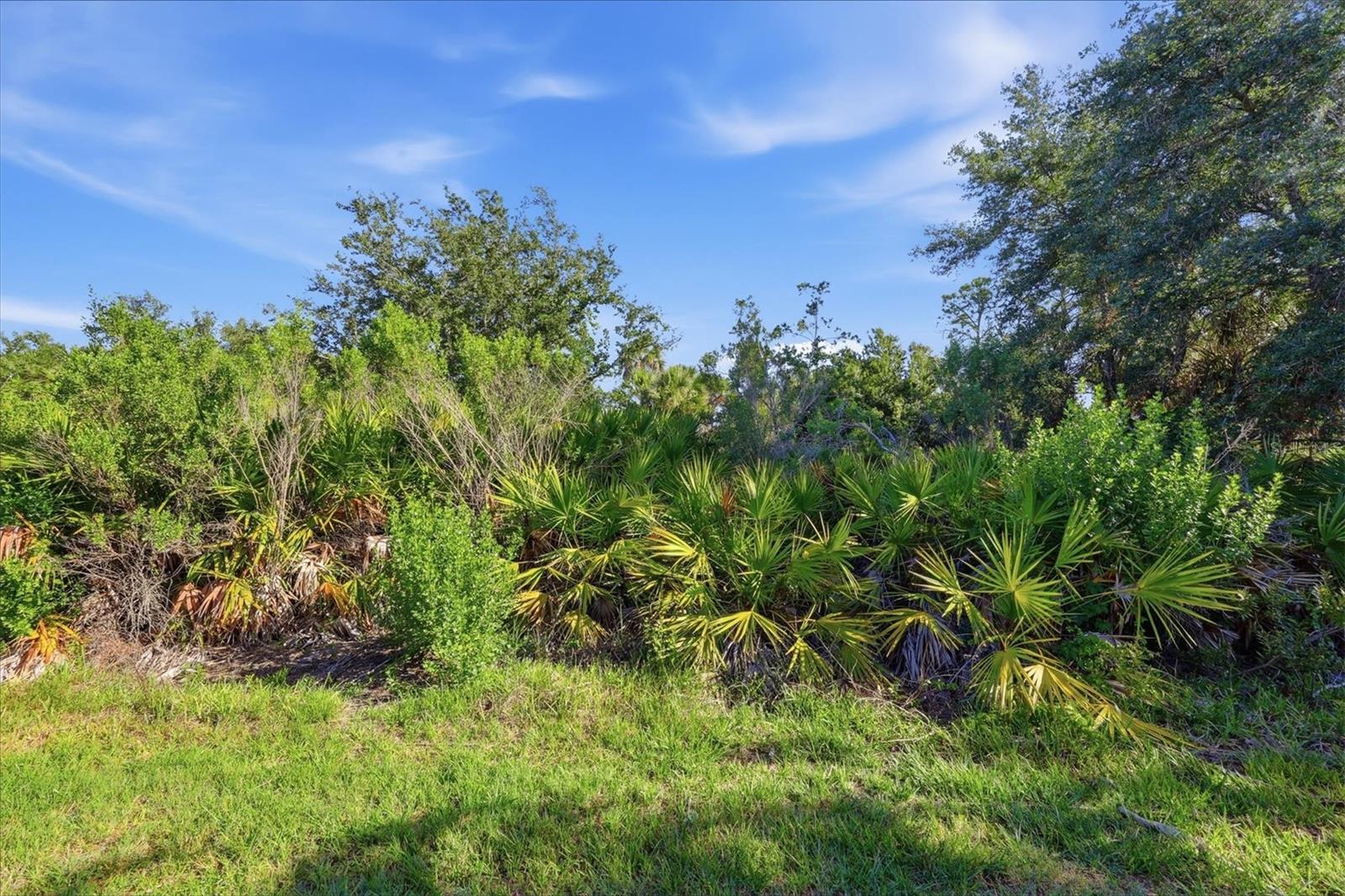 12540 CANAVESE LN, VENICE, FL, 34293
