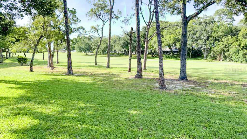 12922 WEDGEWOOD WAY #A, HUDSON, FL, 34667