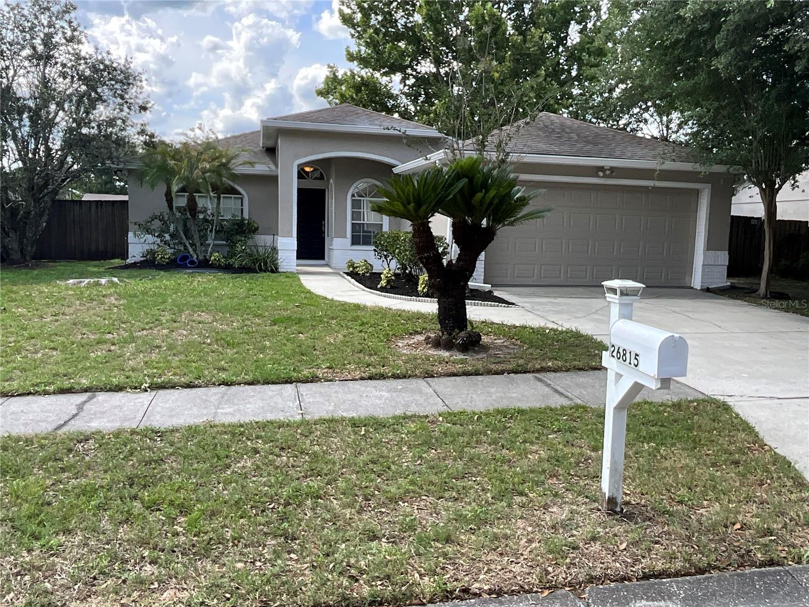 26815 ROSEANN PL, LUTZ, FL, 33559