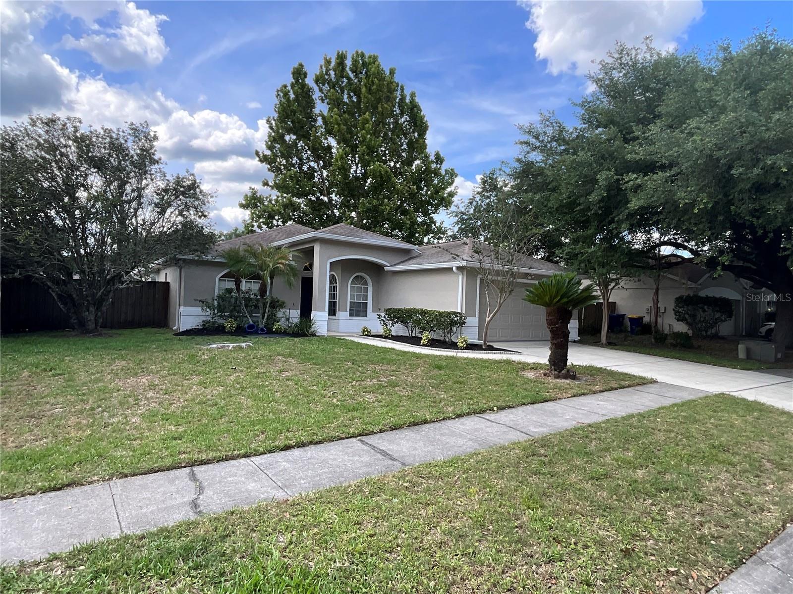 26815 ROSEANN PL, LUTZ, FL, 33559
