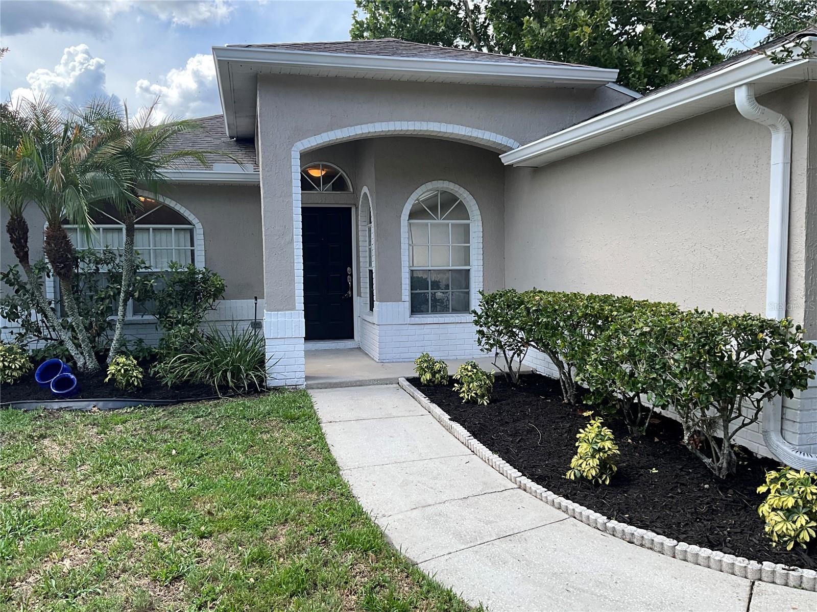 26815 ROSEANN PL, LUTZ, FL, 33559