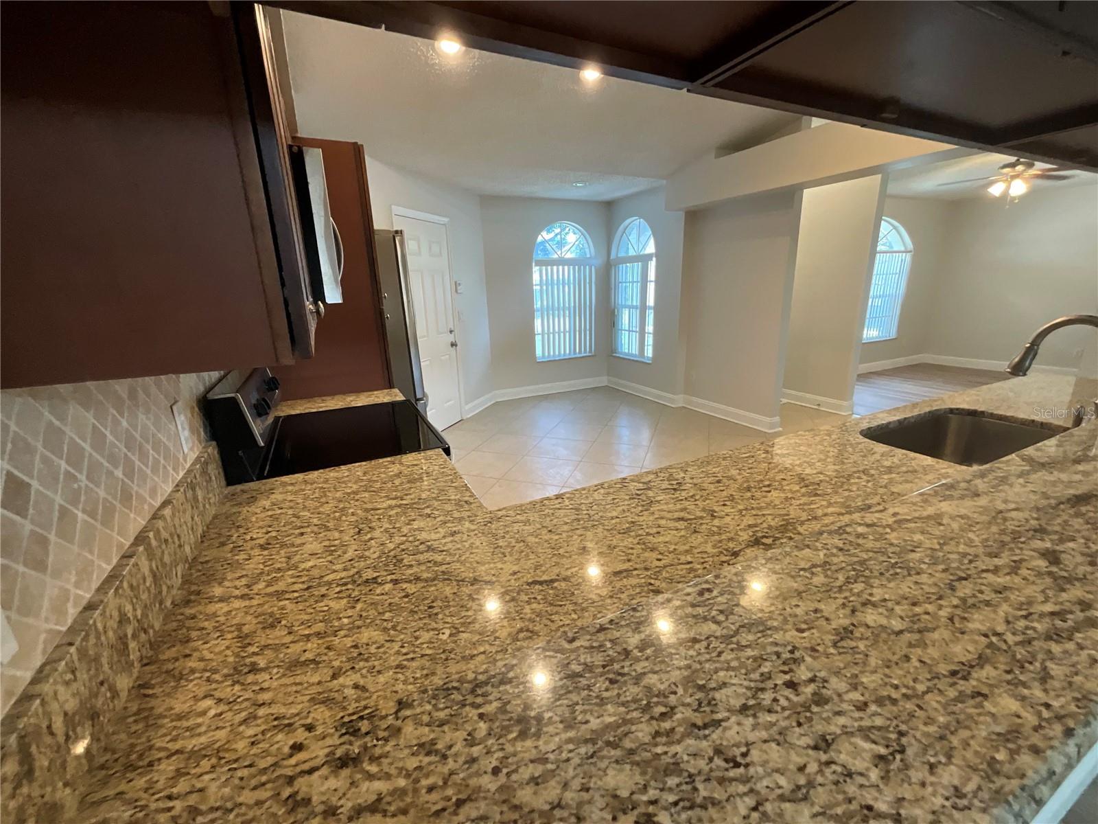 26815 ROSEANN PL, LUTZ, FL, 33559