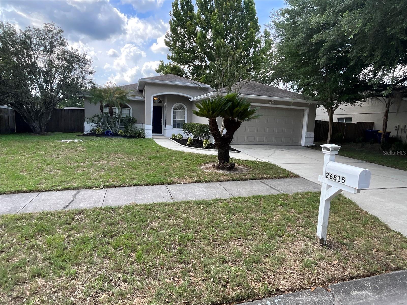 26815 ROSEANN PL, LUTZ, FL, 33559