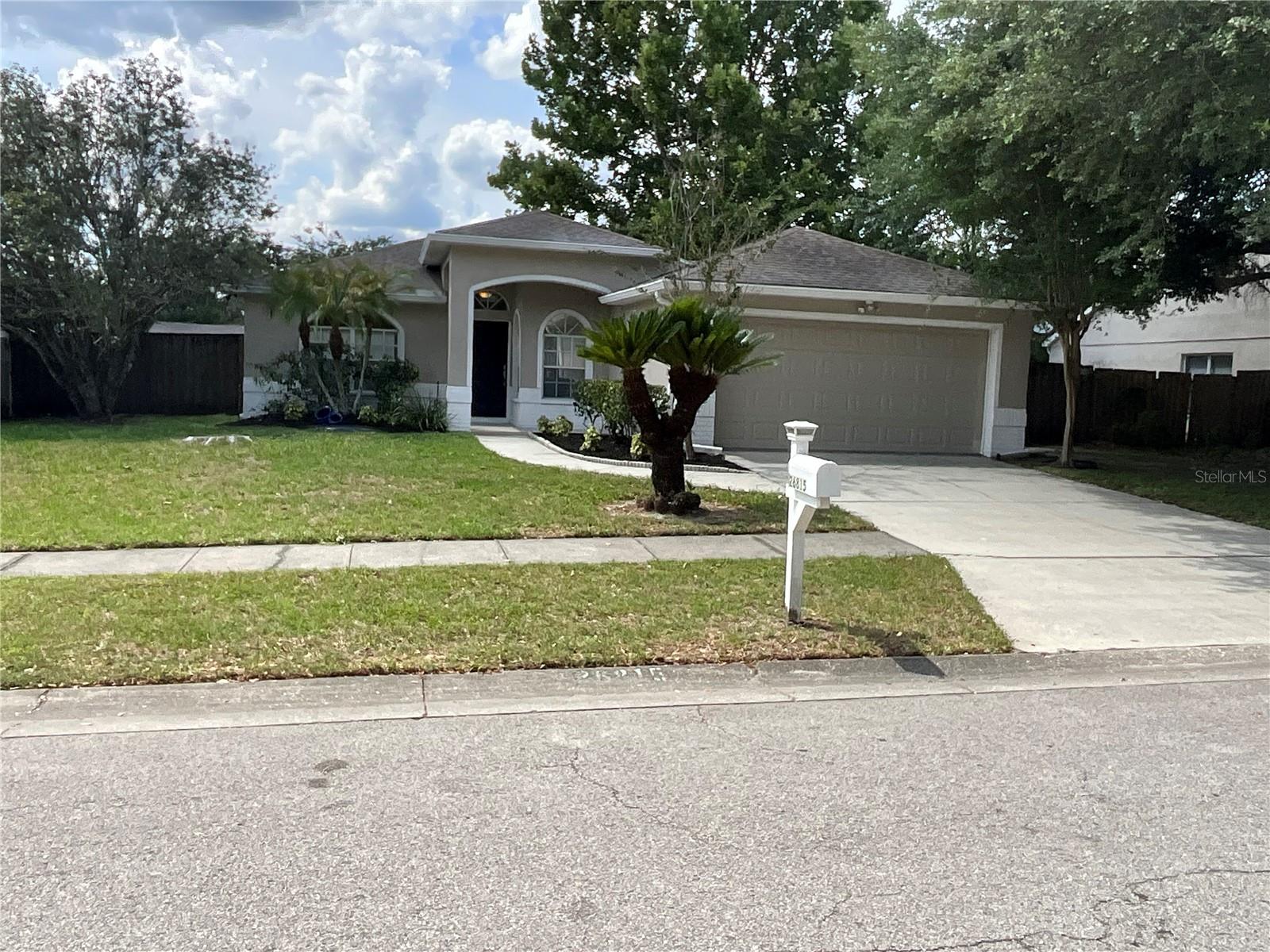 26815 ROSEANN PL, LUTZ, FL, 33559