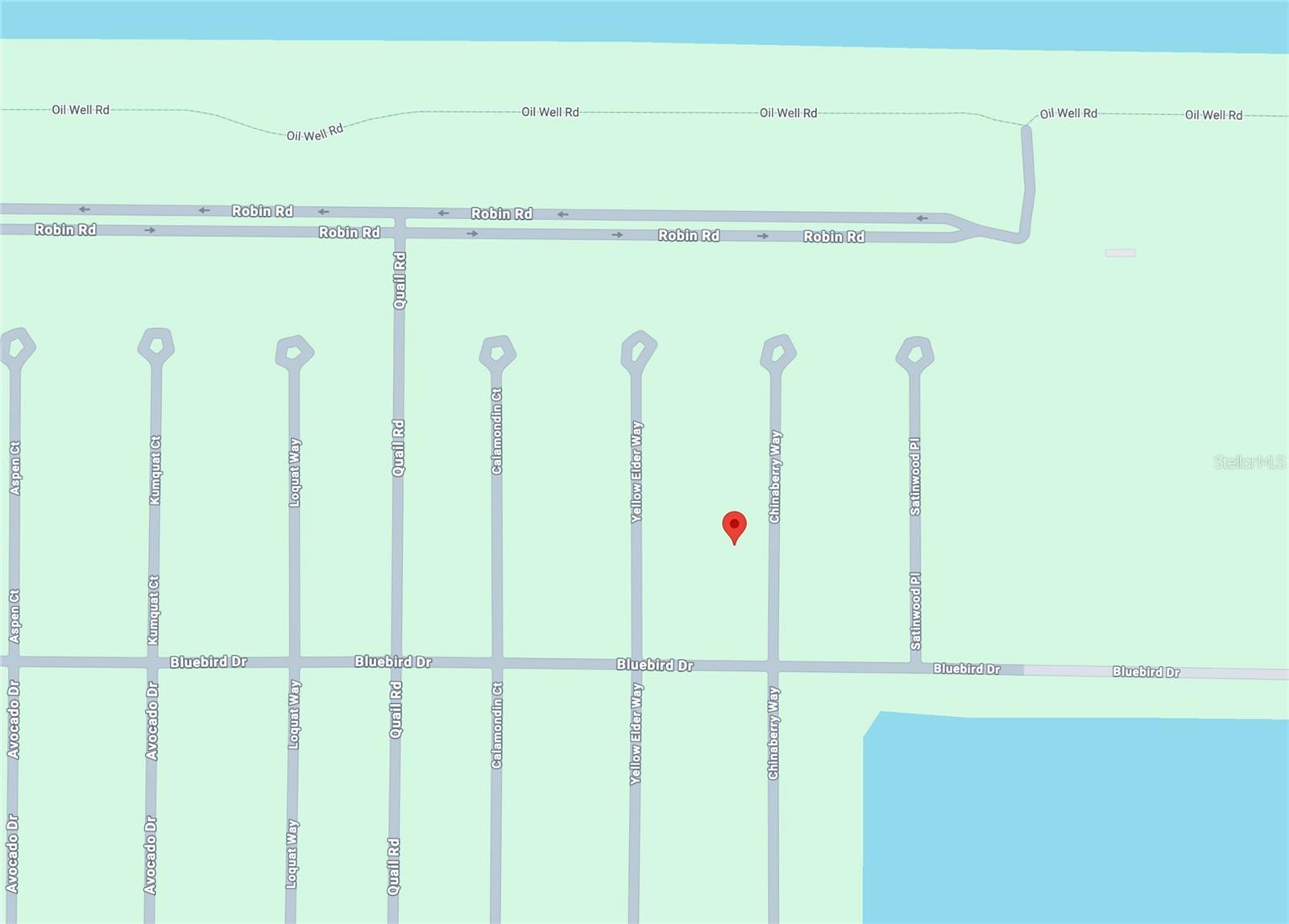 23 CHINABERRY WAY, PLACIDA, FL, 33946