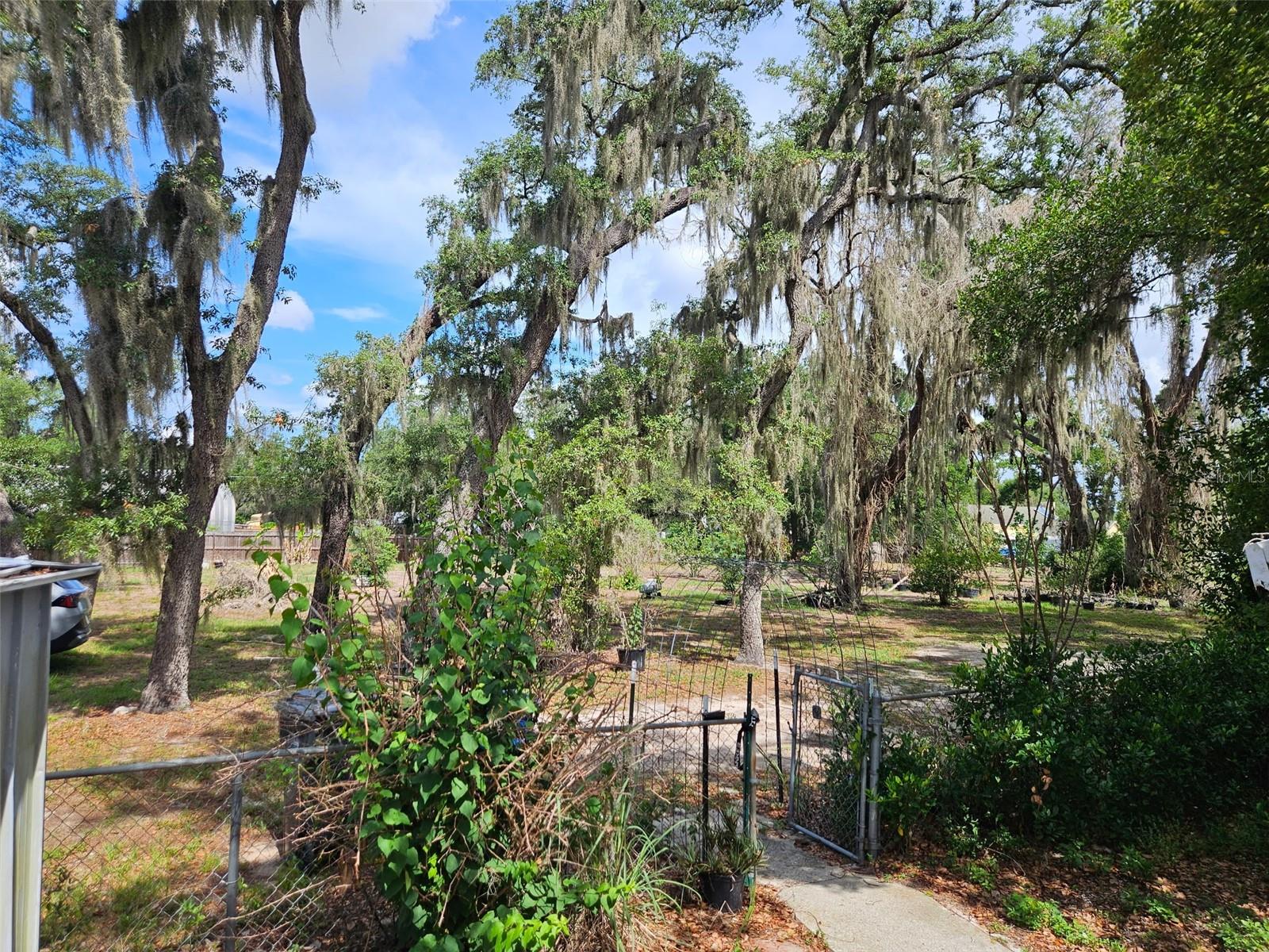 8603 ALAFIA RIDGE RD, RIVERVIEW, FL, 33569