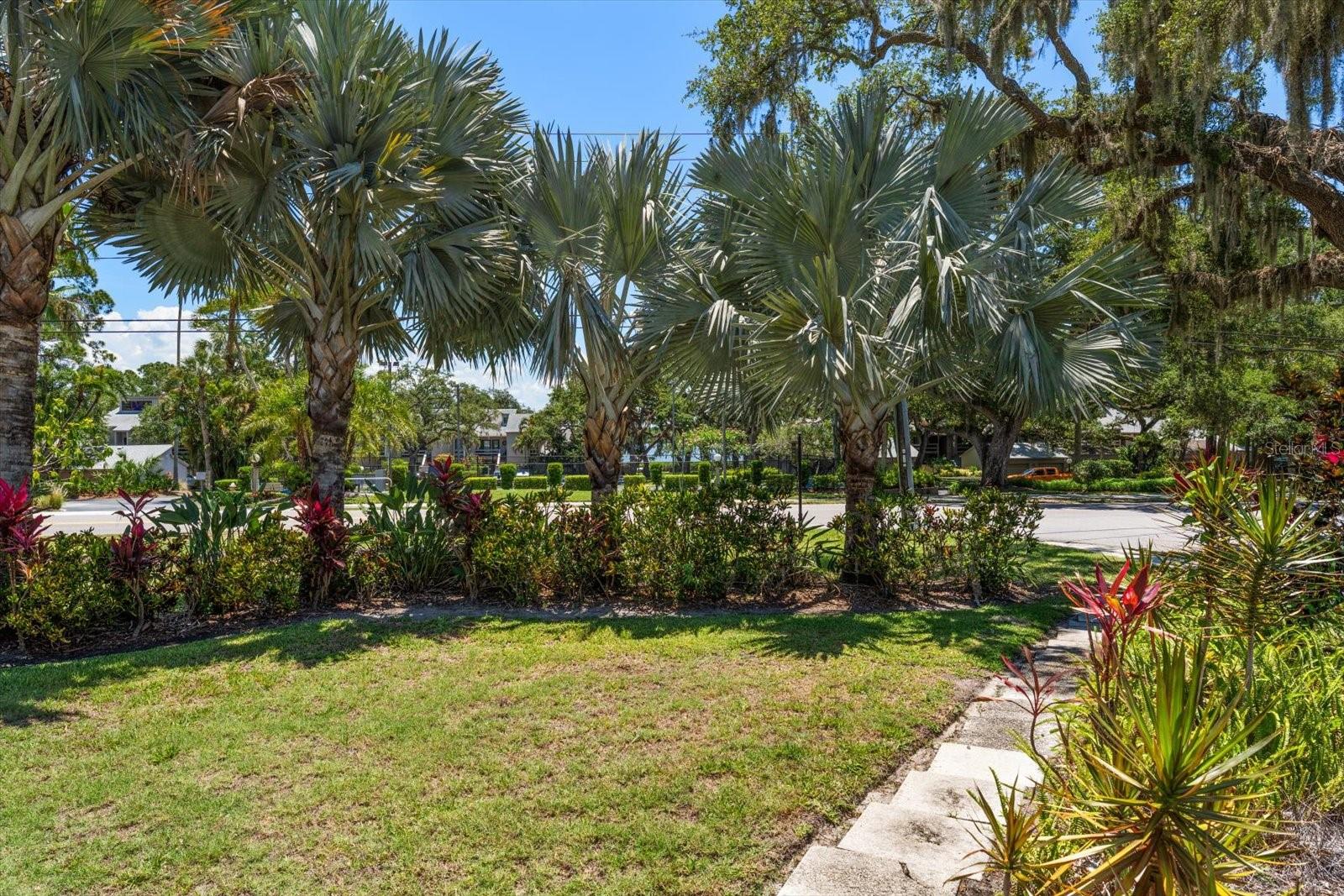 3330 SAN DOMINGO ST, CLEARWATER, FL, 33759