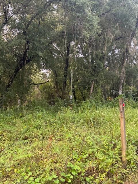 104 FLORADANDY RD, HAWTHORNE, FL, 32640