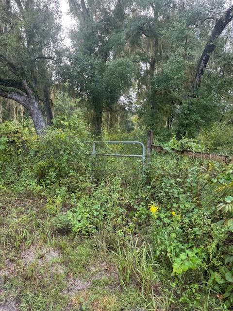 104 FLORADANDY RD, HAWTHORNE, FL, 32640
