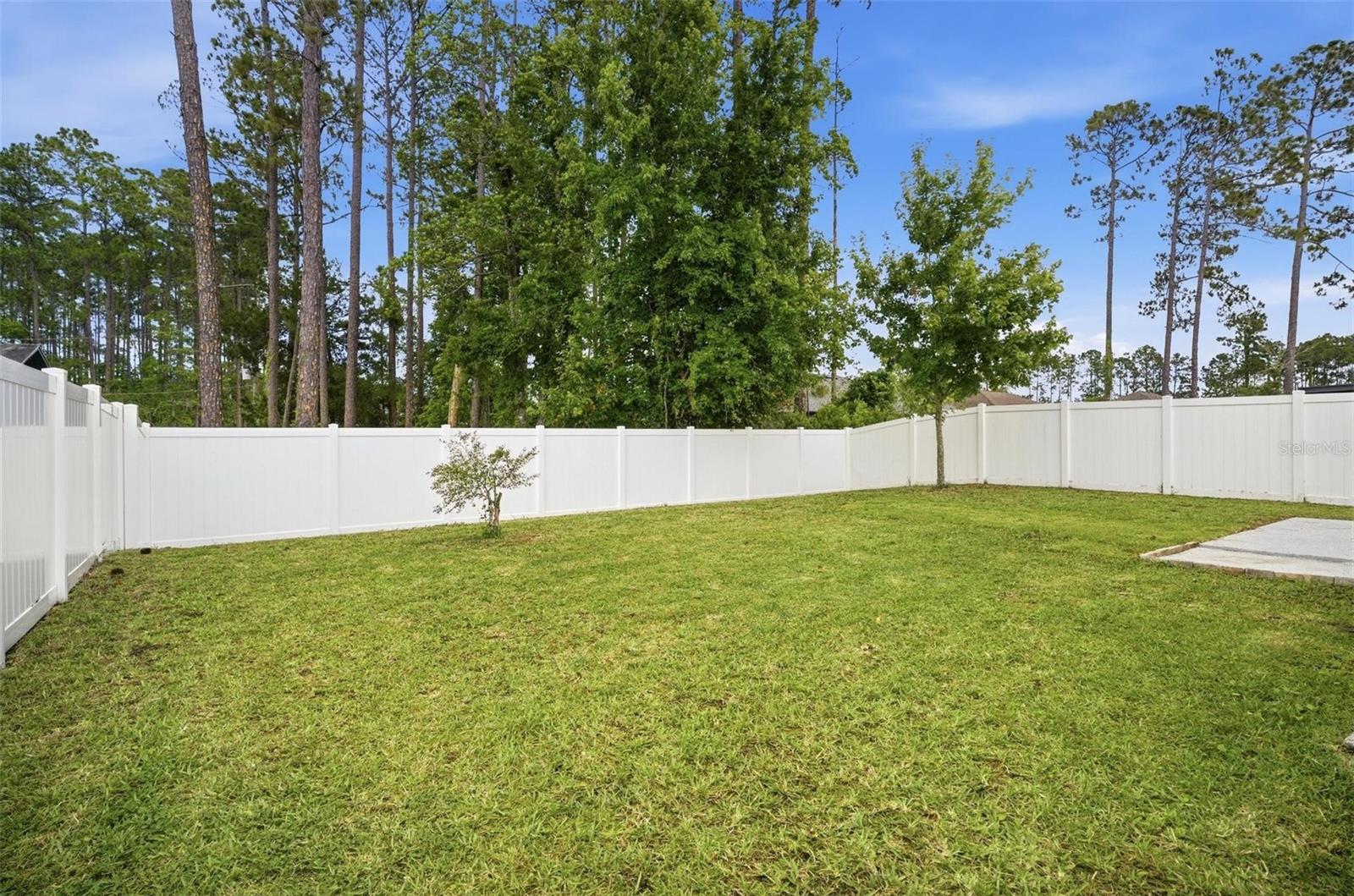655 GRAND RESERVE DR, BUNNELL, FL, 32110