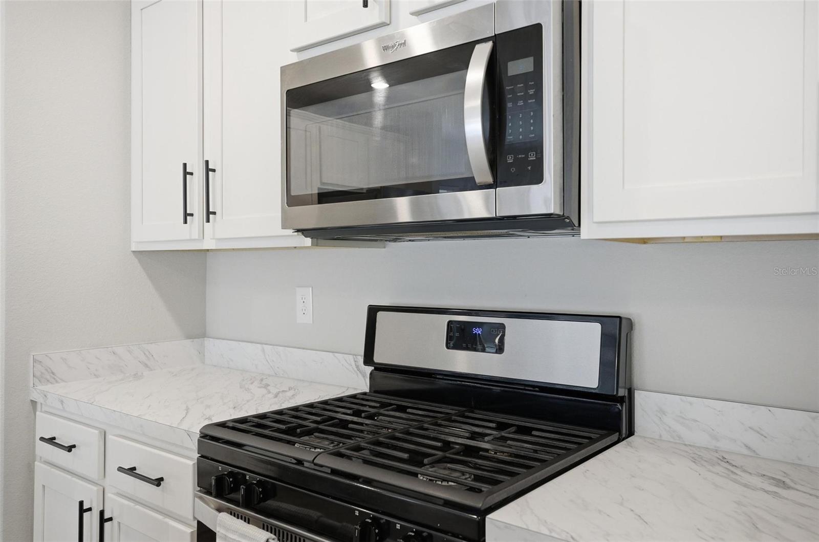 655 GRAND RESERVE DR, BUNNELL, FL, 32110