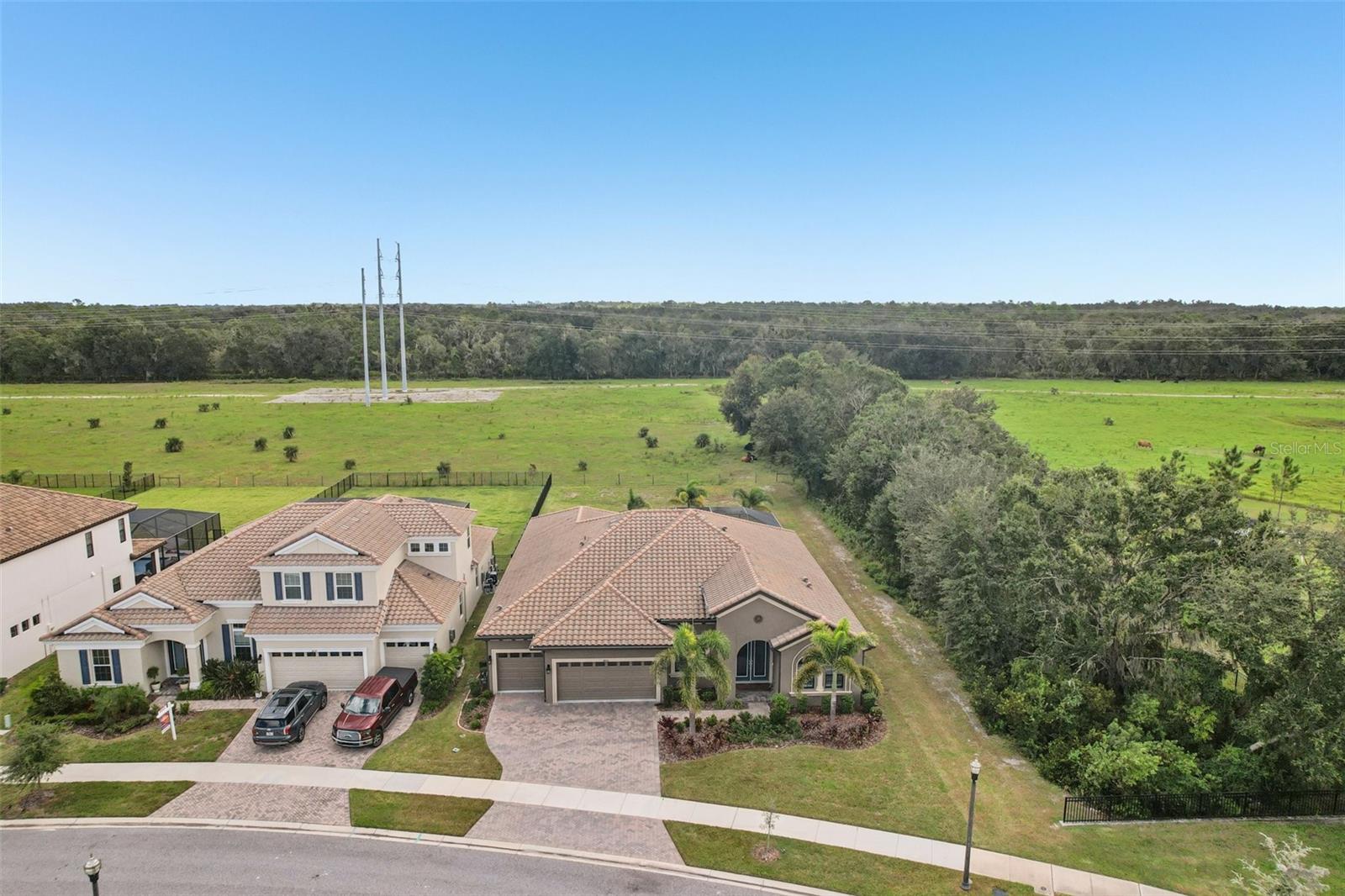 14235 SWISS BRIDGE DR, RIVERVIEW, FL, 33579