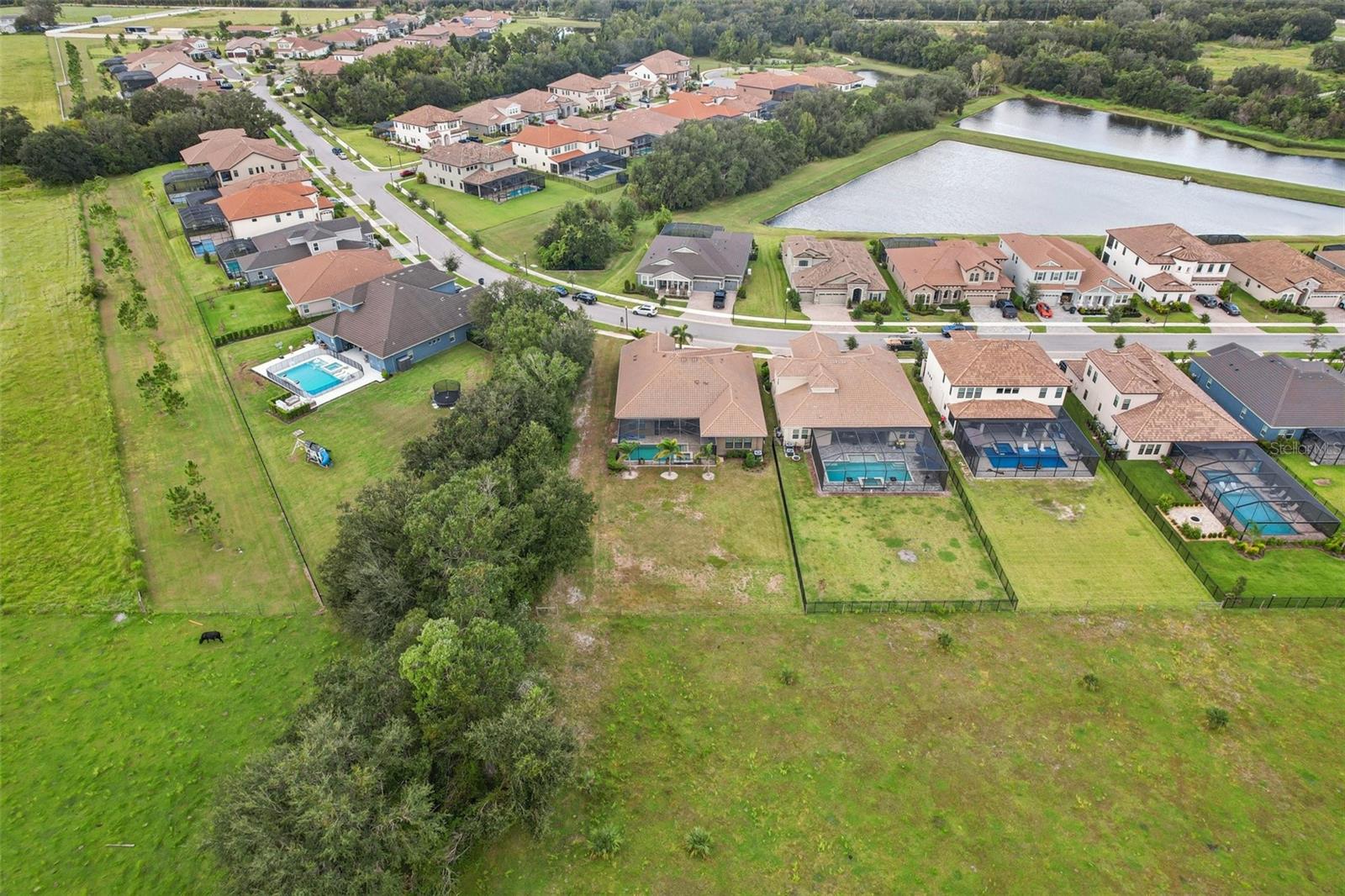 14235 SWISS BRIDGE DR, RIVERVIEW, FL, 33579