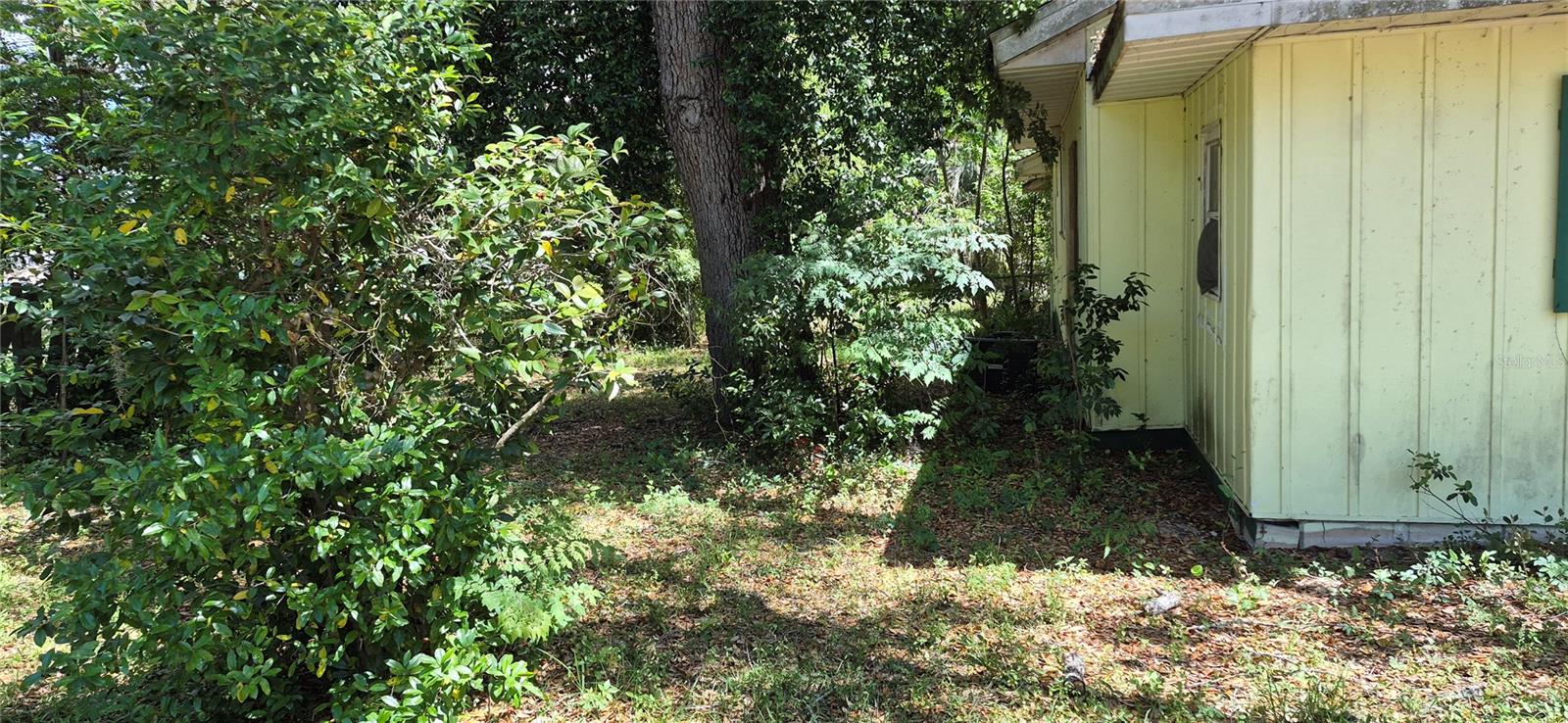 1491 SE 189TH AVE, SILVER SPRINGS, FL, 34488