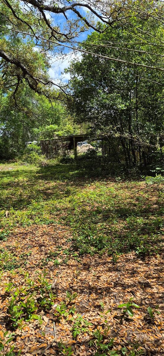 1491 SE 189TH AVE, SILVER SPRINGS, FL, 34488