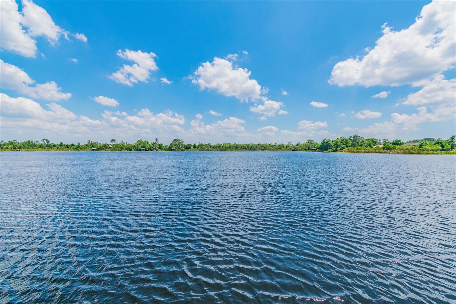 21753 GARDEN WALK LOOP, LAND O LAKES, FL, 34637