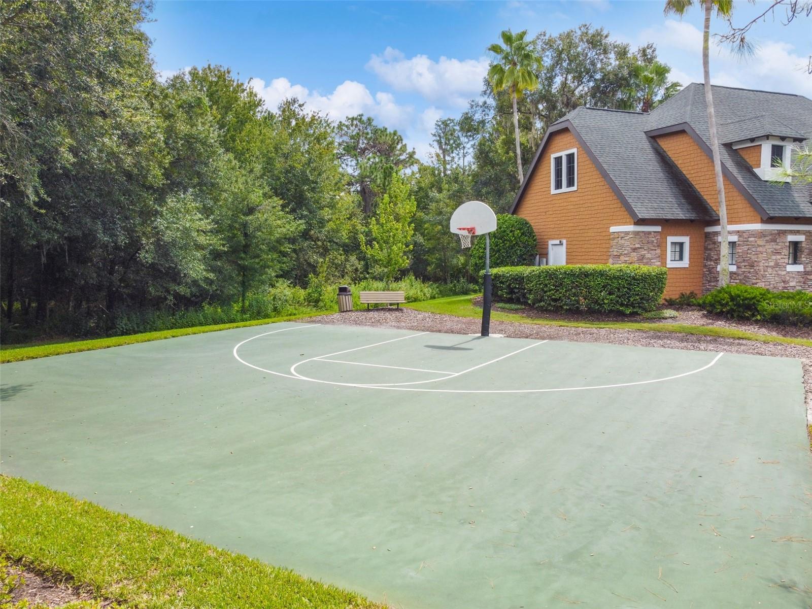 21753 GARDEN WALK LOOP, LAND O LAKES, FL, 34637