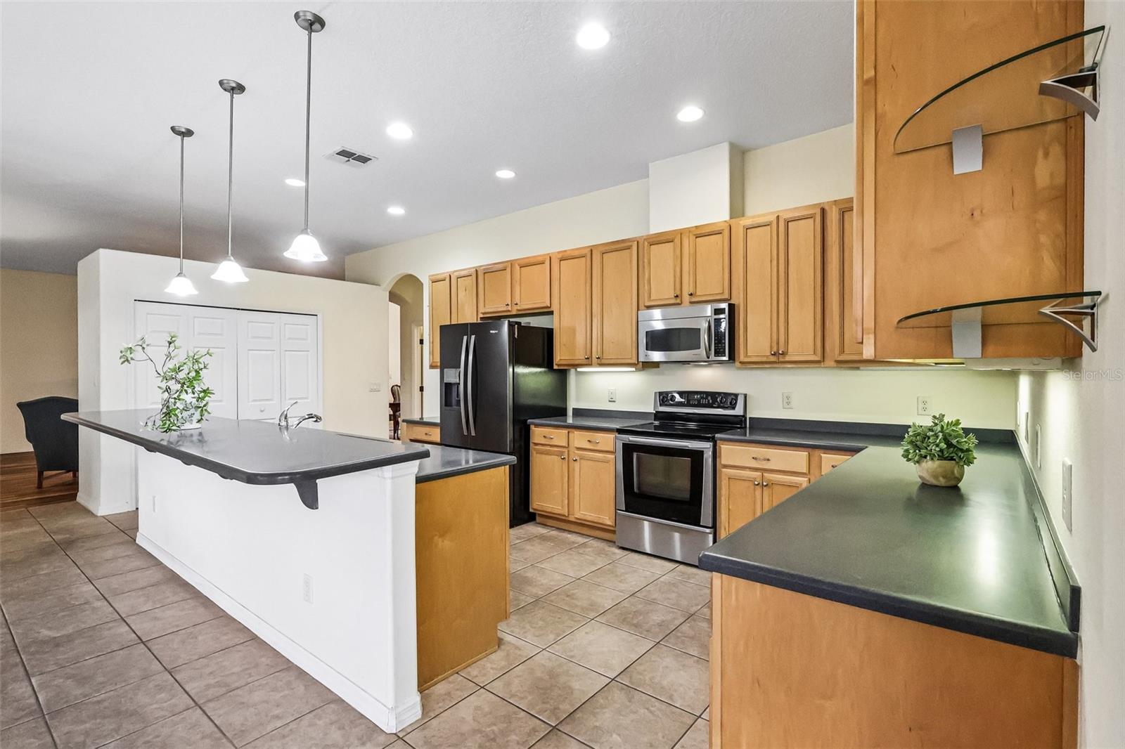 3538 MULBERRY GROVE LOOP, LEESBURG, FL, 34748