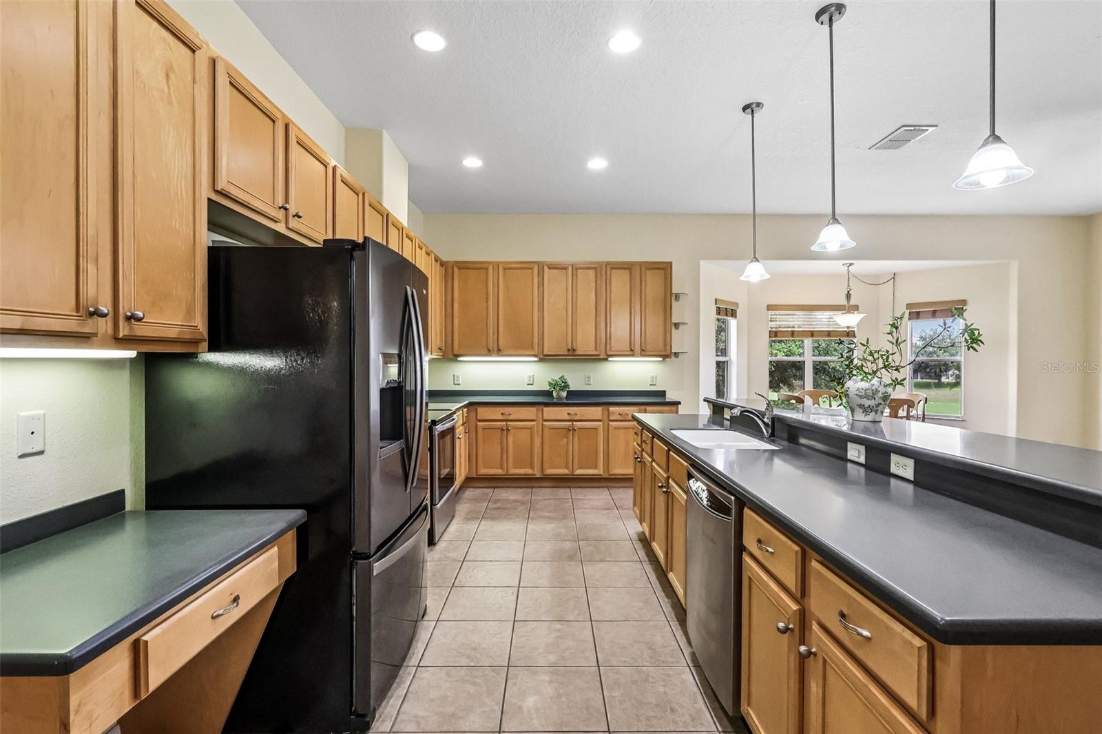 3538 MULBERRY GROVE LOOP, LEESBURG, FL, 34748