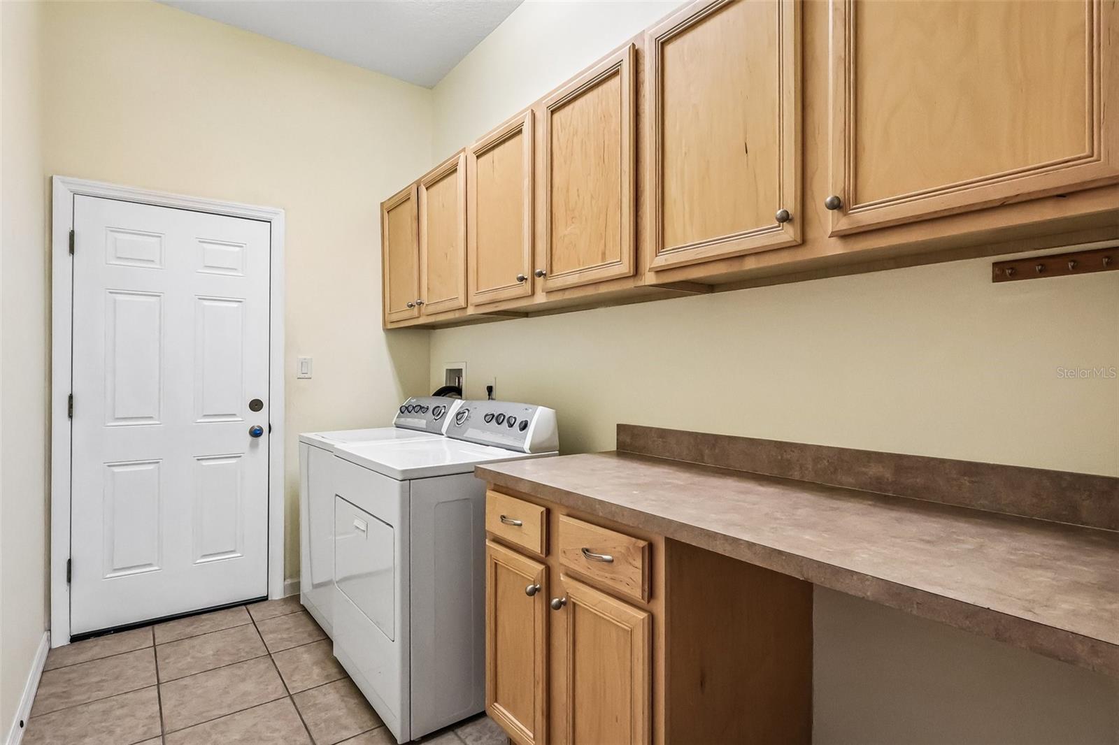 3538 MULBERRY GROVE LOOP, LEESBURG, FL, 34748