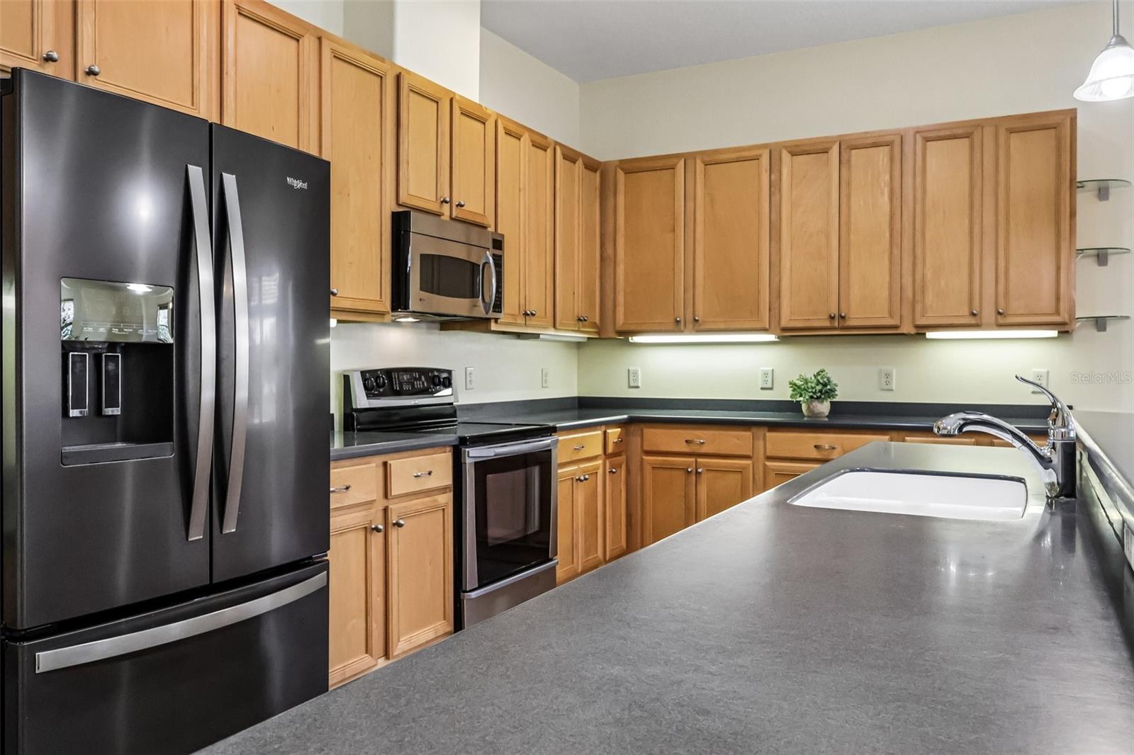 3538 MULBERRY GROVE LOOP, LEESBURG, FL, 34748