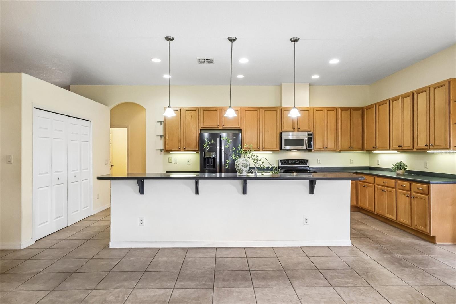 3538 MULBERRY GROVE LOOP, LEESBURG, FL, 34748