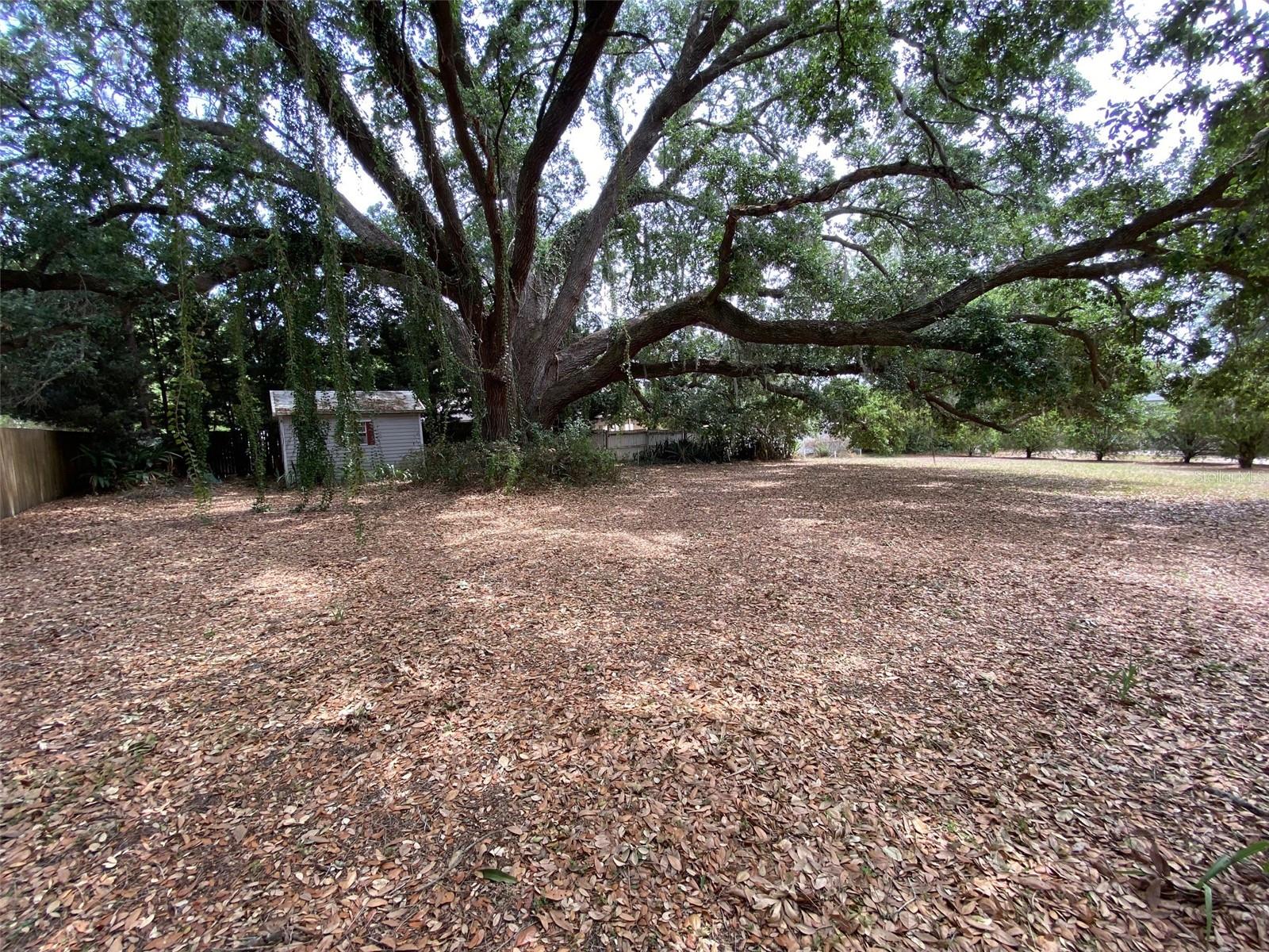 13957 COUNTY ROAD 109D, LADY LAKE, FL, 32159