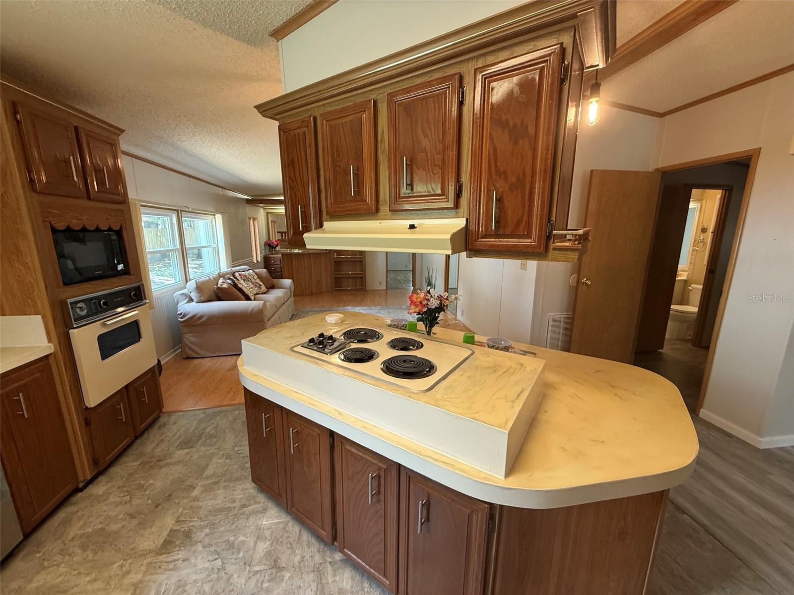 13957 COUNTY ROAD 109D, LADY LAKE, FL, 32159