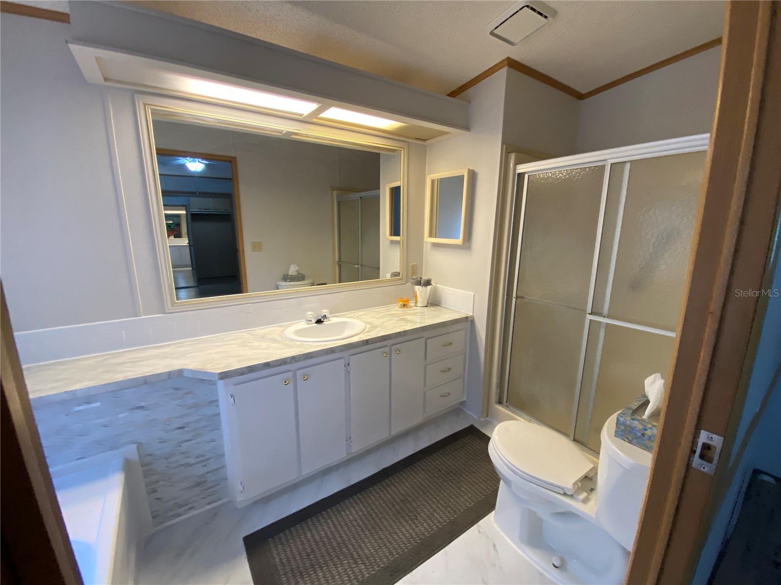 13957 COUNTY ROAD 109D, LADY LAKE, FL, 32159