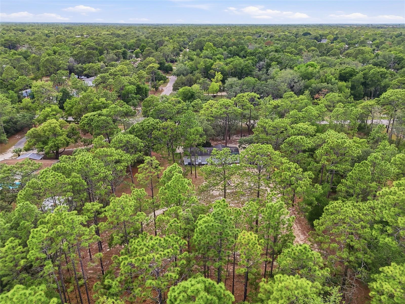18200 NORMANDEAU ST, SPRING HILL, FL, 34610