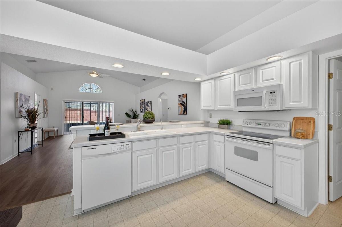 1033 KNIGHTSBRIDGE CIR, DAVENPORT, FL, 33896