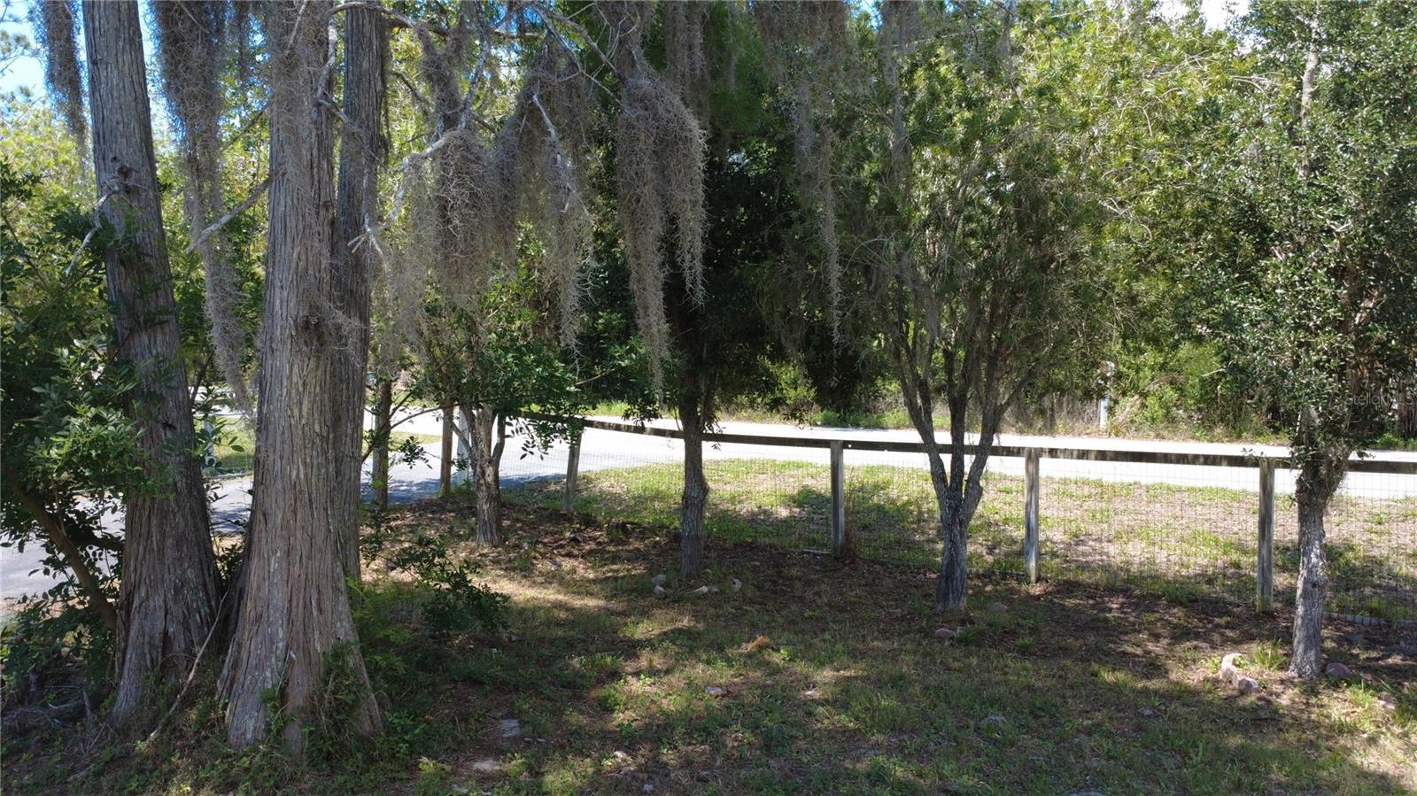 17889 THOMAS BLVD, HUDSON, FL, 34667
