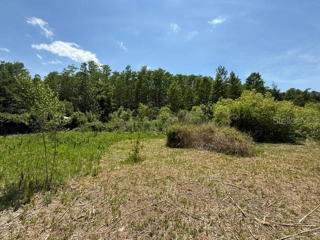 17889 THOMAS BLVD, HUDSON, FL, 34667