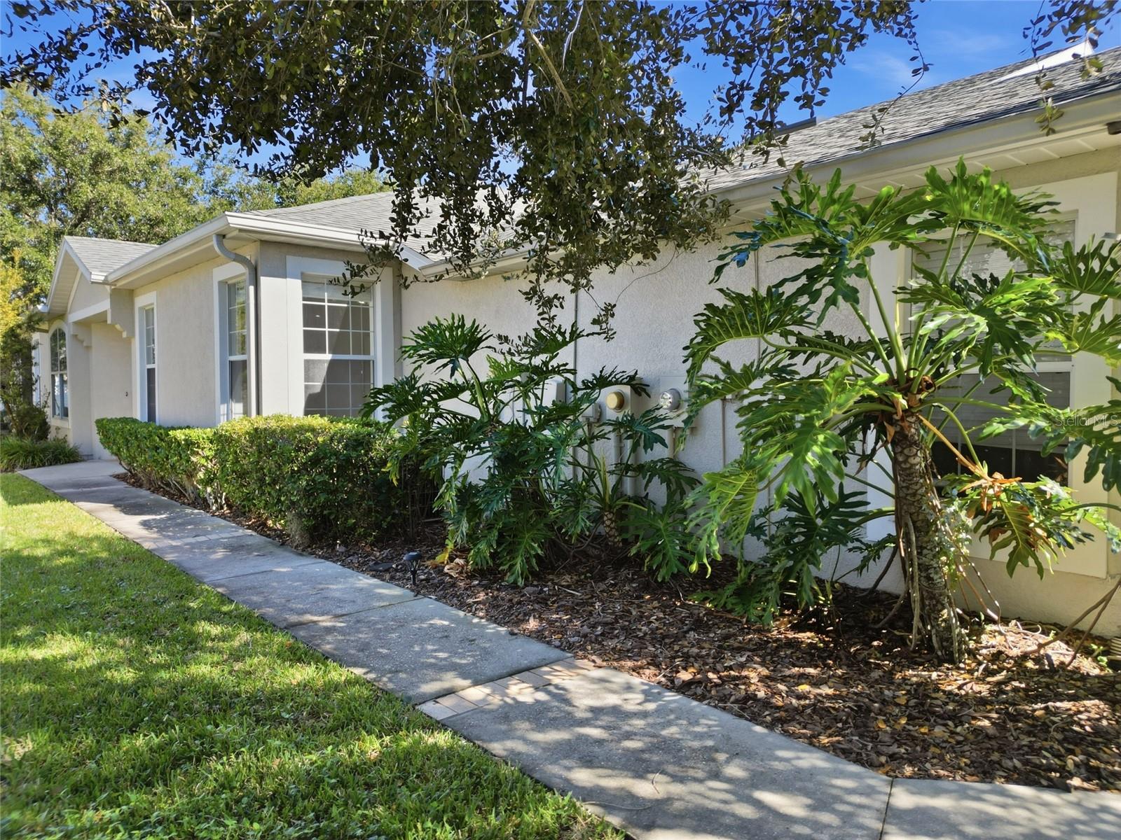 3343 CHAPEL CREEK CIR, WESLEY CHAPEL, FL, 33544