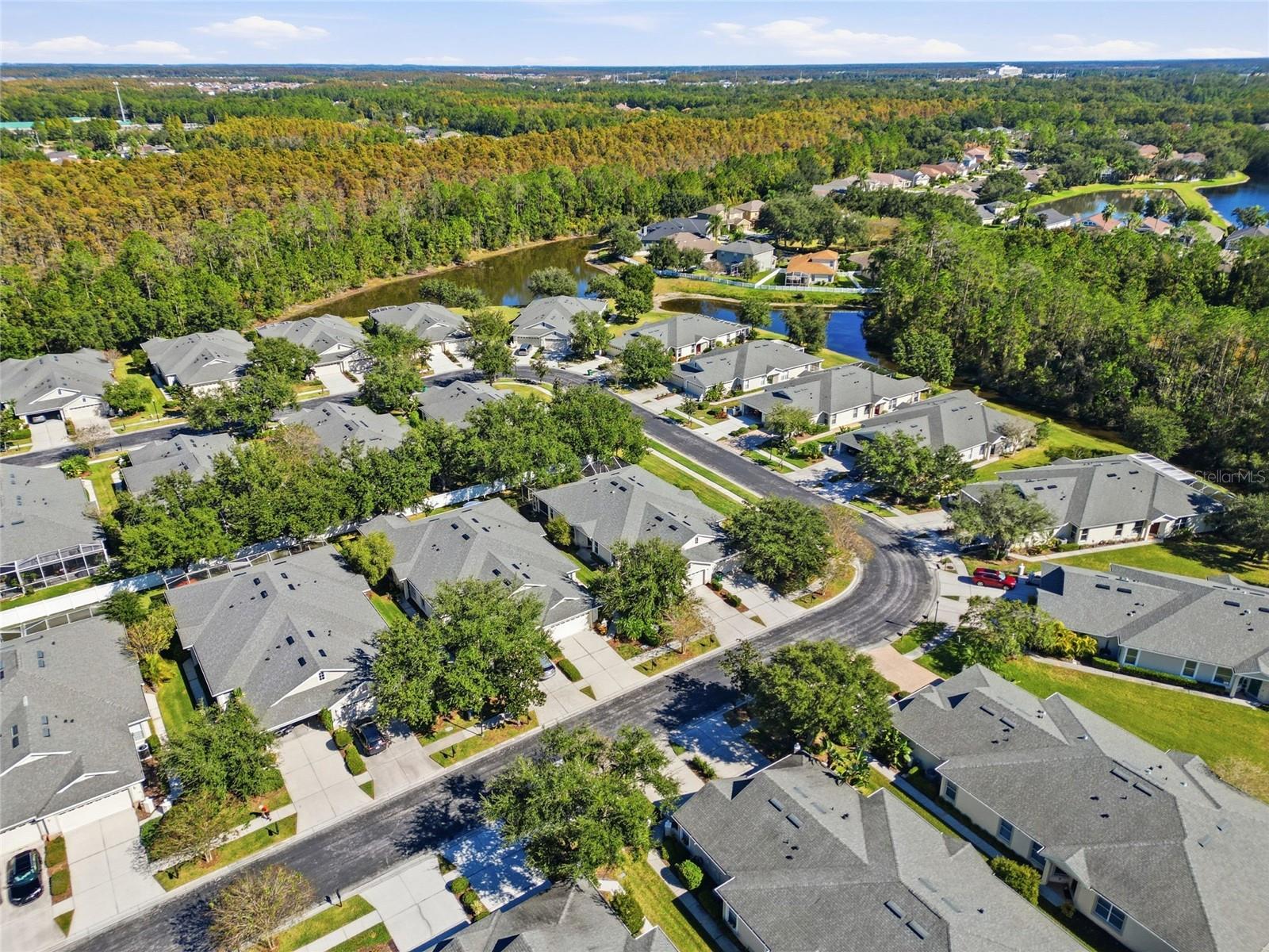 3343 CHAPEL CREEK CIR, WESLEY CHAPEL, FL, 33544