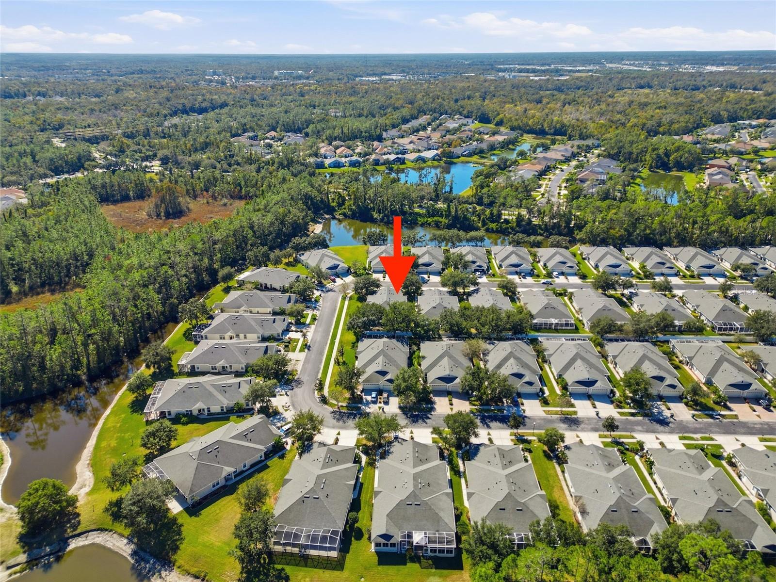 3343 CHAPEL CREEK CIR, WESLEY CHAPEL, FL, 33544