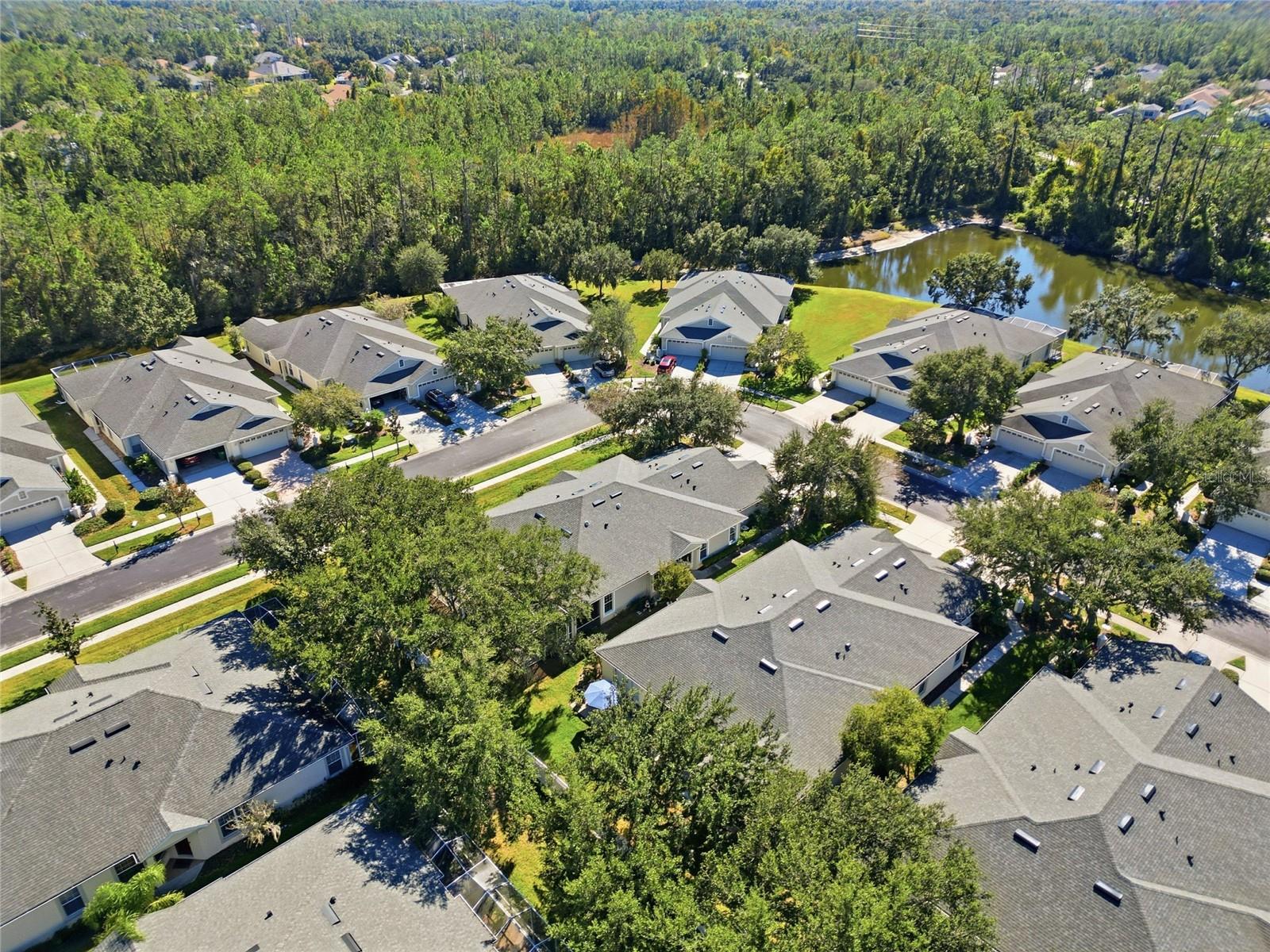 3343 CHAPEL CREEK CIR, WESLEY CHAPEL, FL, 33544