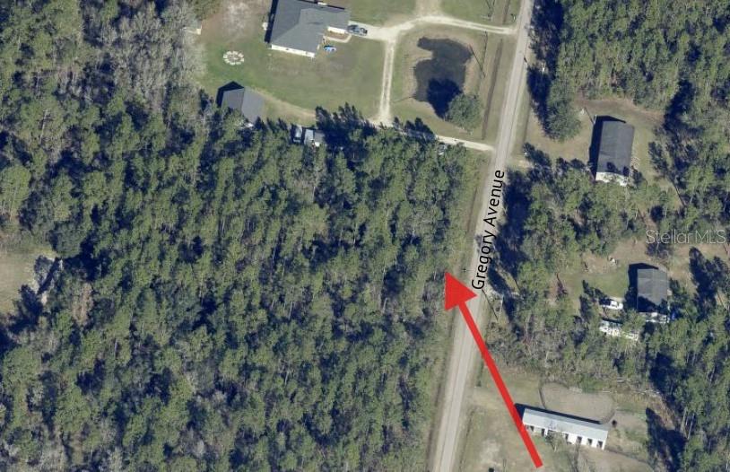 10315 GREGORY AVE, HASTINGS, FL, 32145
